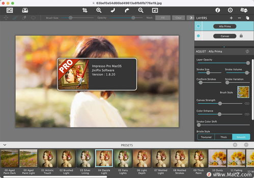 jixipix artista impresso pro 油畫效果濾鏡插件